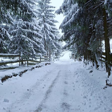 Mokki Villa Mărişel Exteriör bild